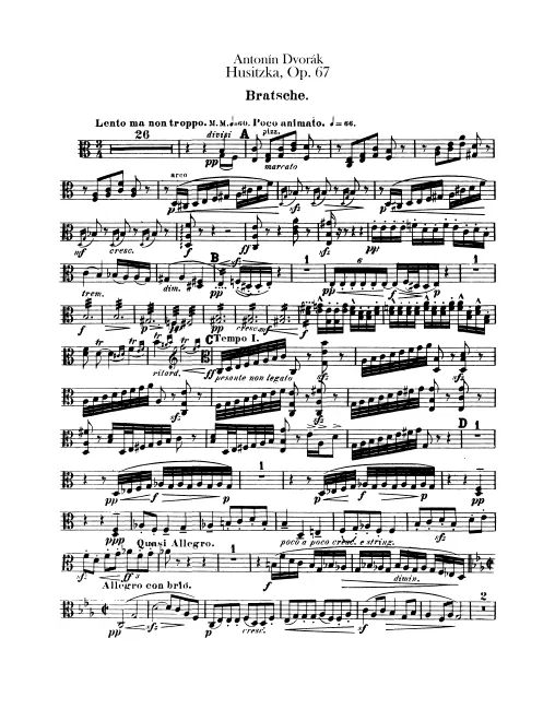 Violas