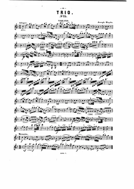 Violin