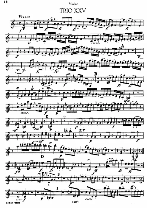 Violin