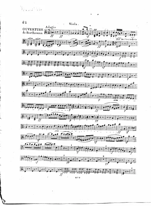 Violas