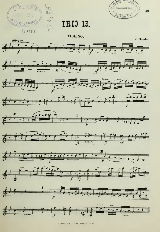 Violin