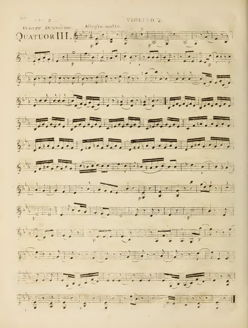 Violin 2