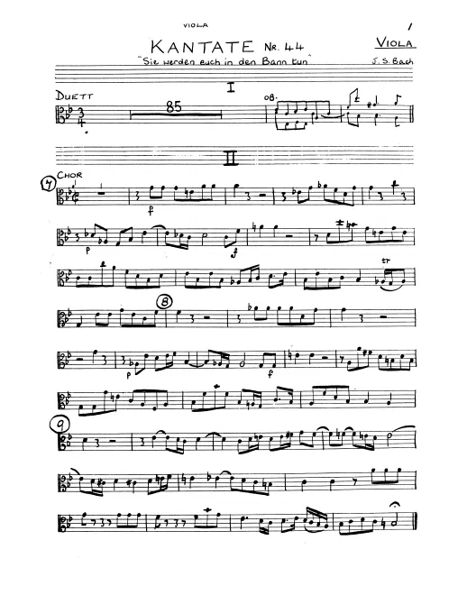 Violas