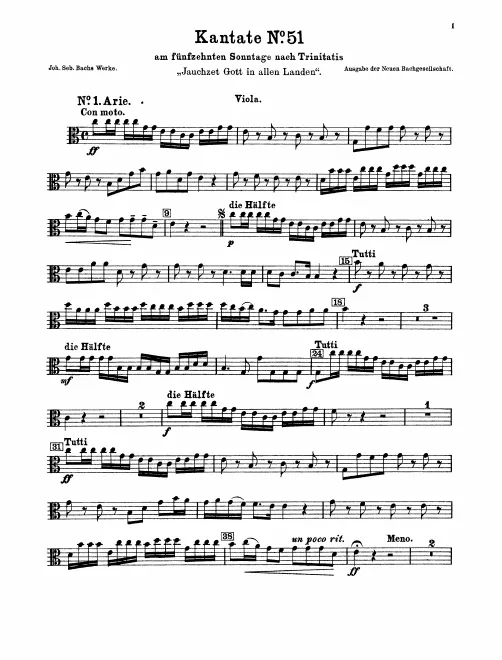Violas