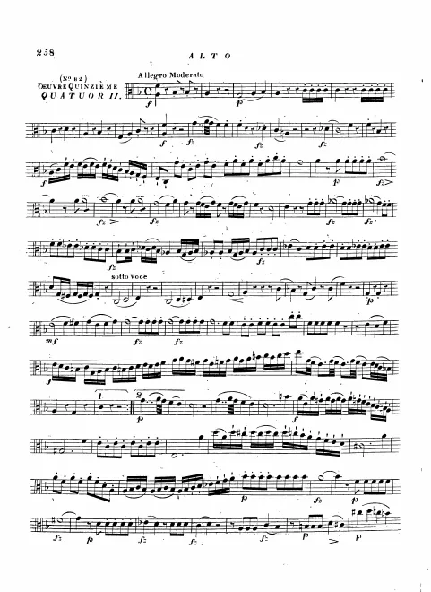 Viola