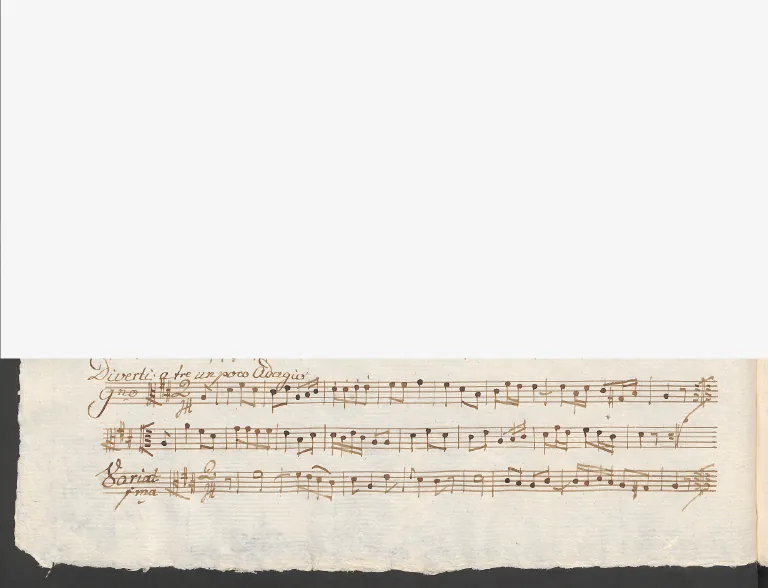 Viola