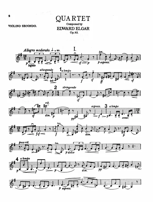 Violin 2