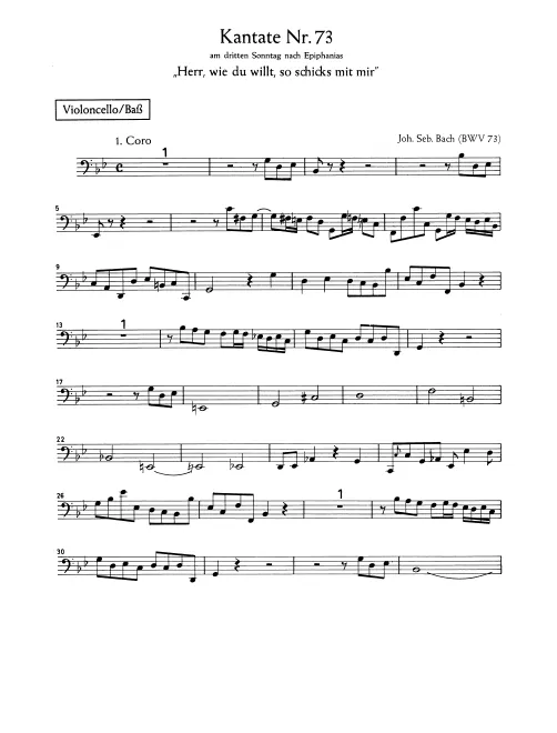 Cellos/Basses