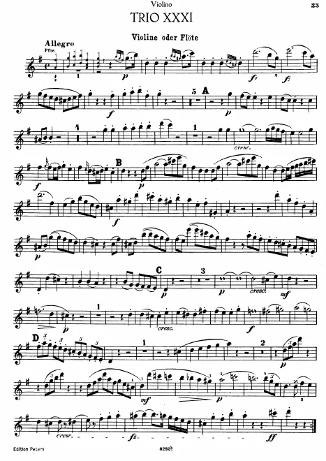 Violin