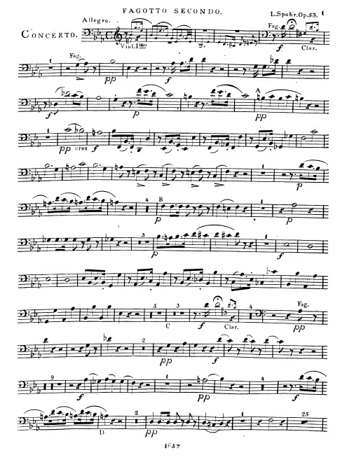 Bassoon 2