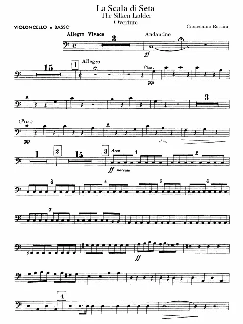 Cellos and Basses