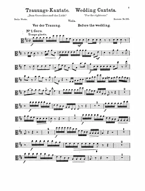 Violas