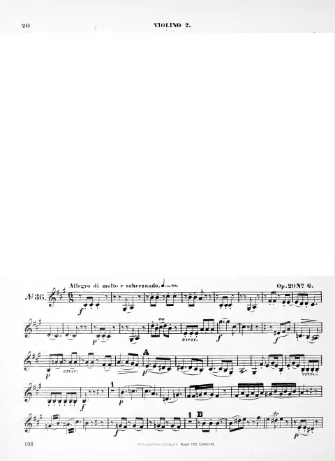 Violin 2