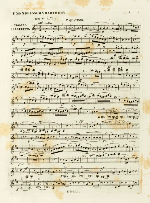 Violin
