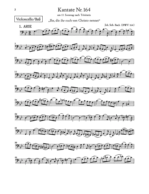 Cellos/Basses
