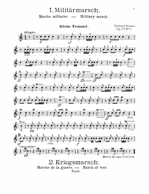 Snare Drum 1, 2, Tenor Drum 1, 2, Triangle, Cymbals, Bass Drum, Glockenspiel