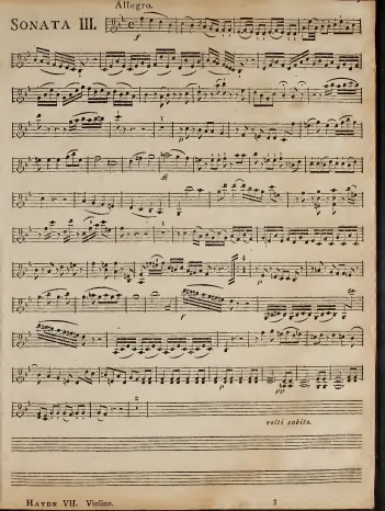 Violin