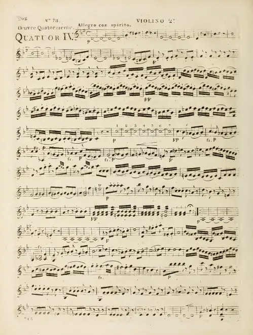 Violin 2
