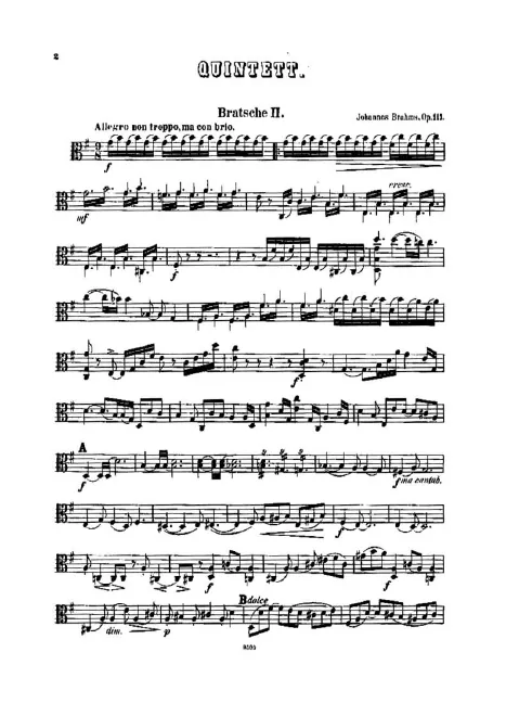 Viola 2