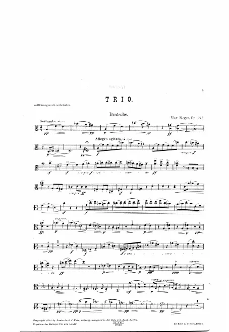 Viola