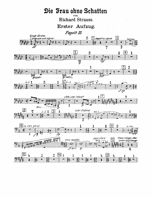 Bassoon 3