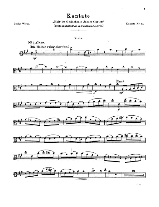 Violas