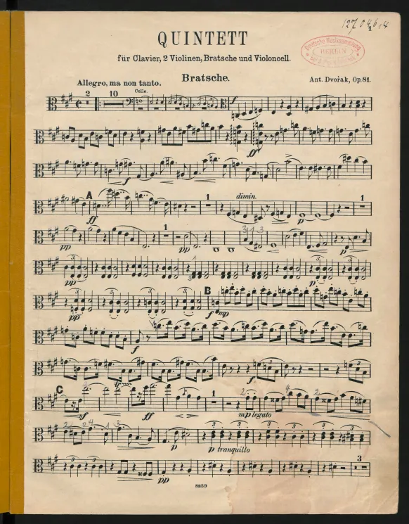 Viola