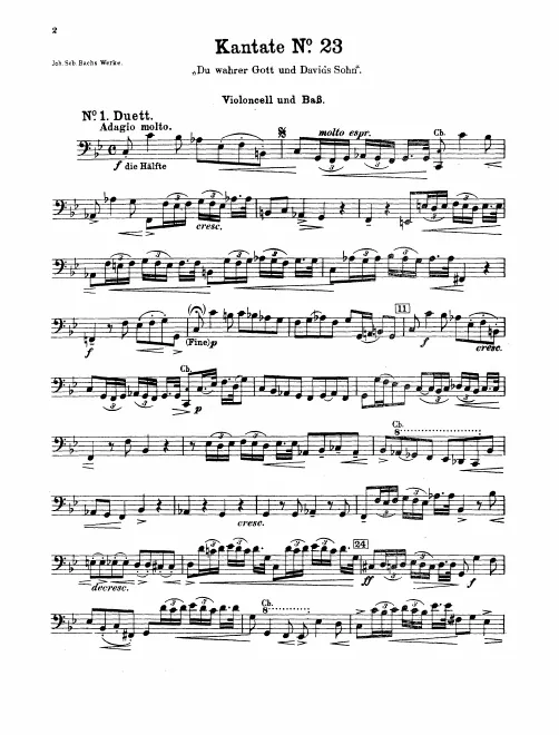 Cellos/Basses
