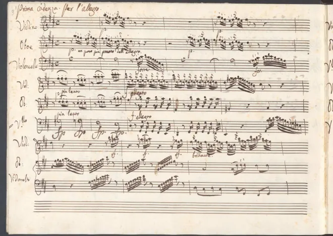 Cadenzas