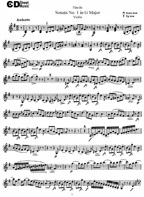 Violin