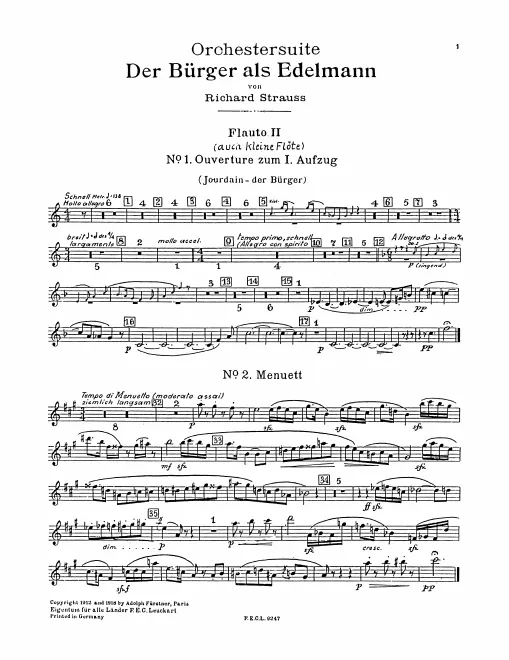 Flute 2/Piccolo