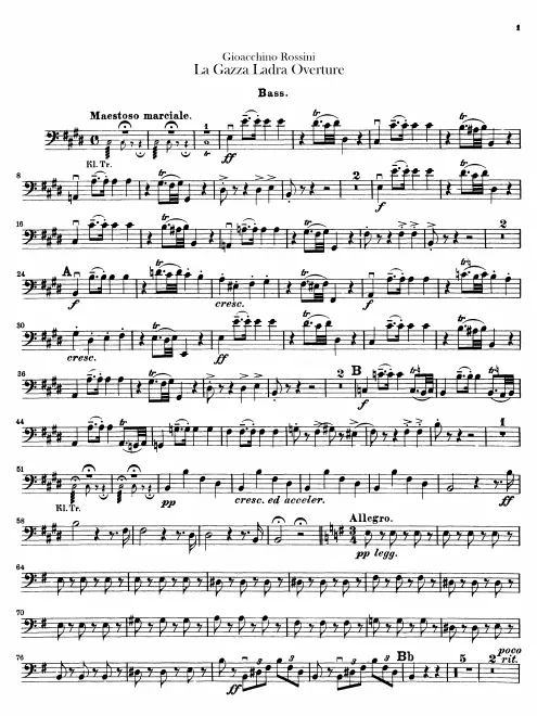 Basses