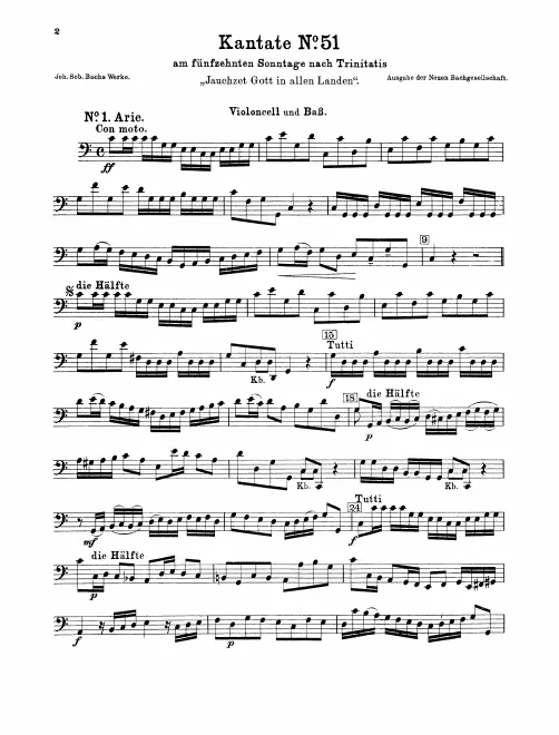 Cellos/Basses