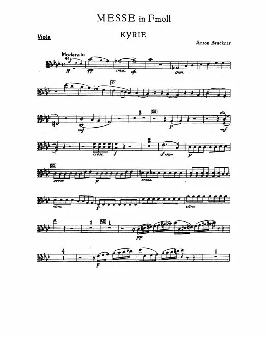 Violas