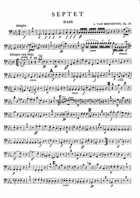 Double Bass