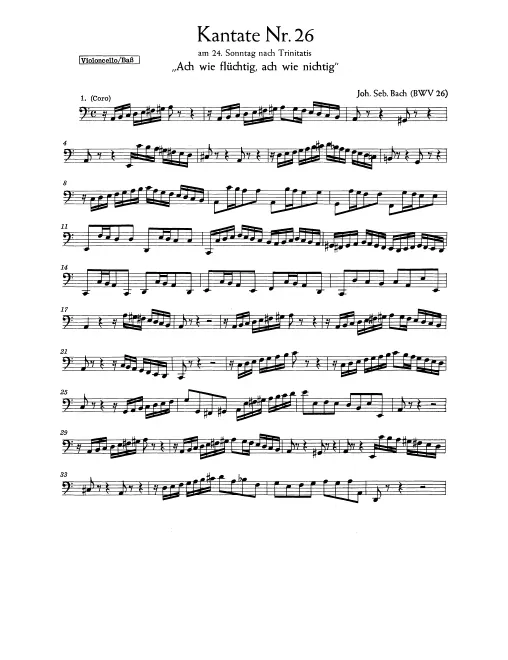 Cellos/Basses