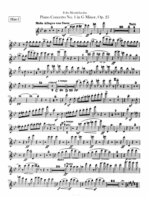 Flute 1