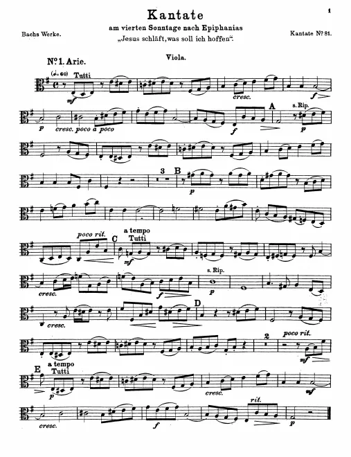 Violas