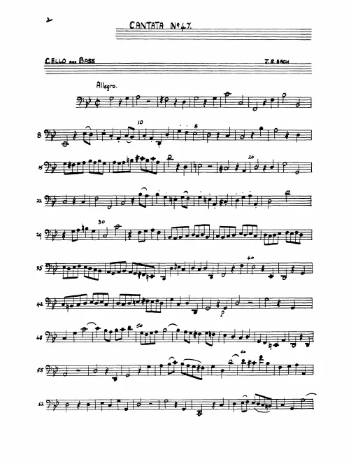 Continuo (Cellos/Basses/Harpsichord)