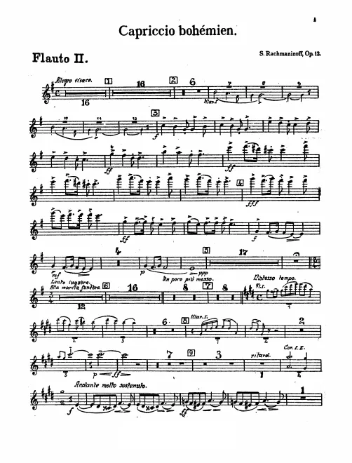 Flute 2