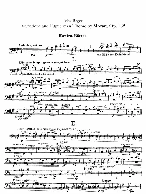 Basses