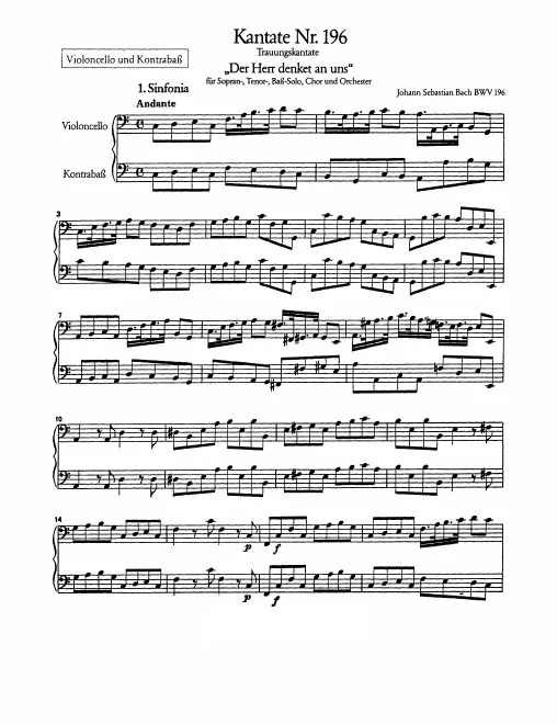 Cellos/Basses