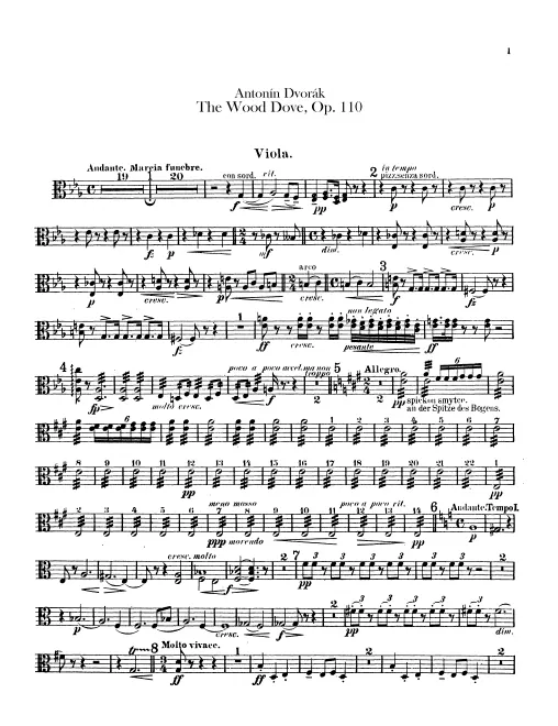 Violas