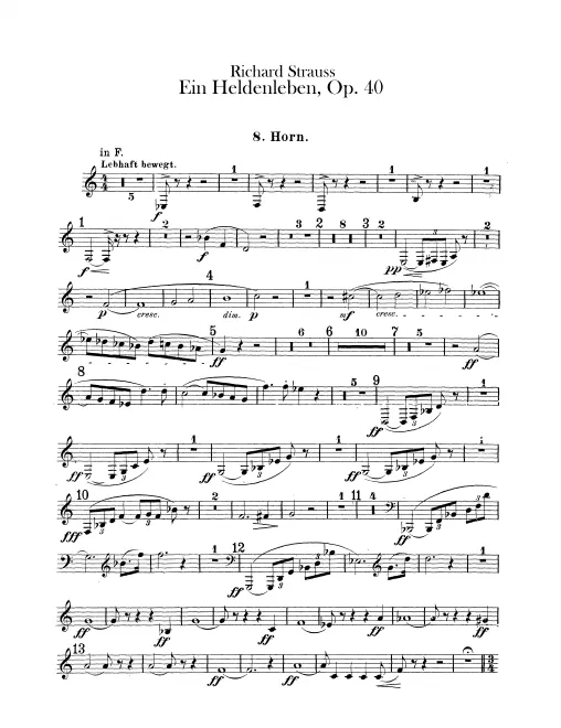 Horn 8 (F/E)
