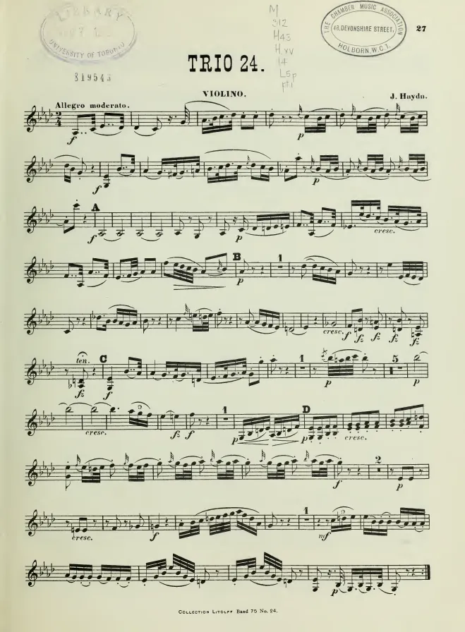 Violin