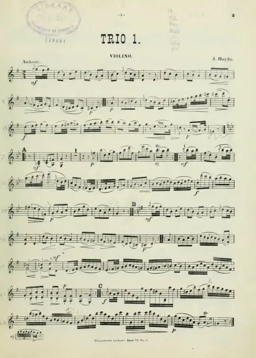 Violin