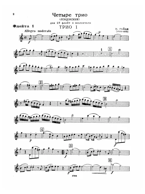Flute 1