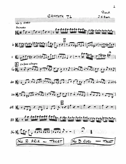 Violas