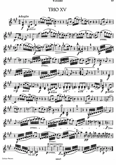 Violin