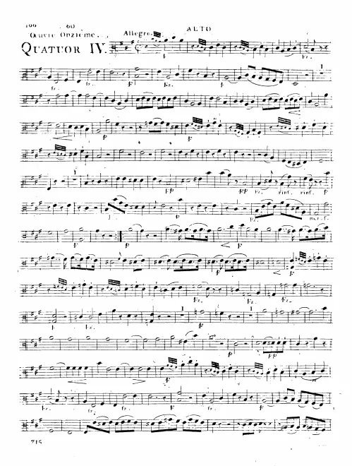 Viola